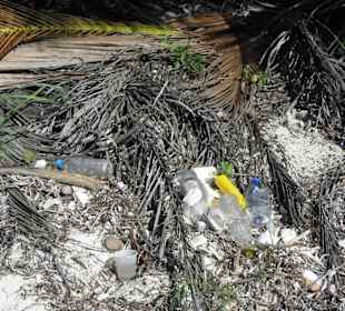 Müll auf der Insel (s.Hotelbewertung vom Dez.2010)