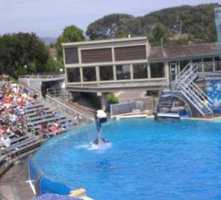 Sea World
