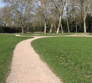 Historische Platanenallee im Unteren Schloßgarten