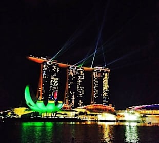 Ulotka krajobrazu Signapore