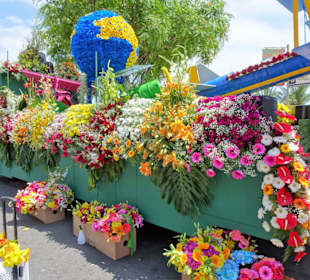 Umzugswagen des Blumenfestivals