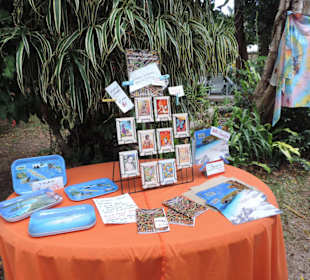 Einziges Geschäft am Tenderhafen