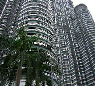 Petronas twin towers