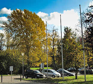 Парк Замка Ойтин.Золотая осень.