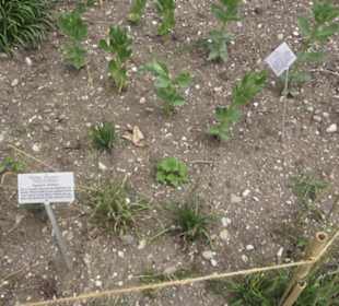 FIFA World Football Museum