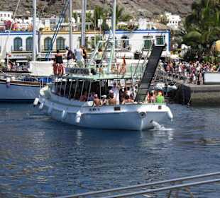 Hafen in Puerto de Mogan