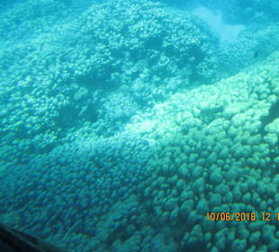 Schnorcheln Hurghada