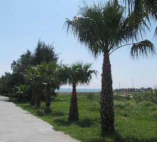 Weg  zum Strand