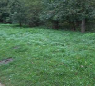 Schlosspark Charlottenburg