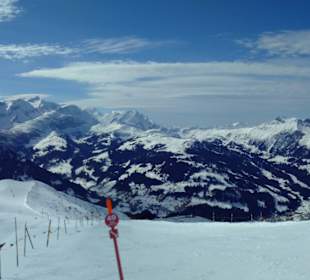 Panorama Lvey