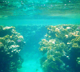 Riff in Ras Mohammed