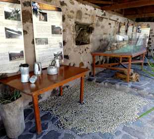 Museumsbereich der Plantage