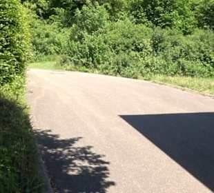 Ruine Hohenmelchingen