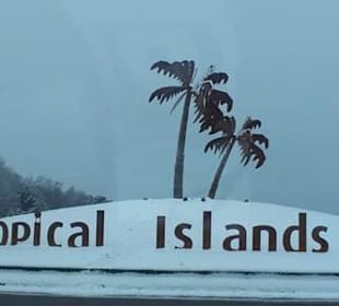 Anfahrt zum Tropical Islands