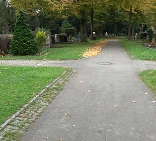 Hauptfriedhof Friedrichshafen
