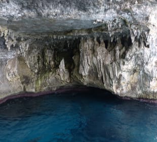 Glasbodenboot Touren
