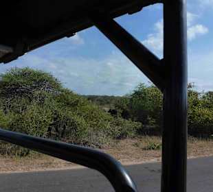 Krüger Nationalpark