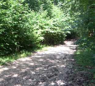 Naturerlebnispfad Sternberg