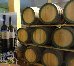 Bodega Las Tirajanas