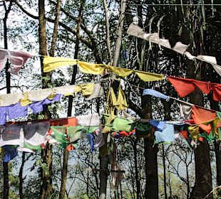 Namgyal Institute of Tibetology