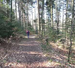 Wanderung Florianrunde