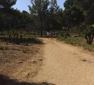 Wandern Cala Mesquida