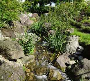 Eindrücke vom Rundgang durch die Gärten