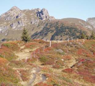 Farbenpracht auf dem Fulseck