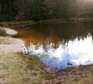 Kleine Teiche