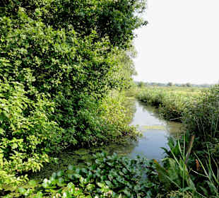 Impressionen aus dem Park Links der Weser