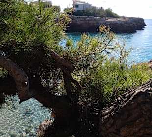Cala Morlanda / Caló d'en Rafalino