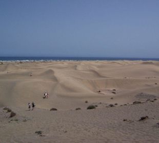 Dünenlandschaft Playa del Ingles