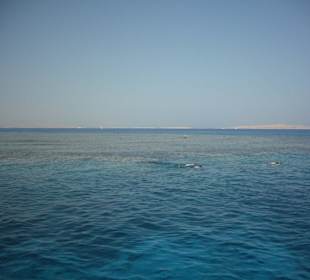 Ein ganz besonderer Ausflug