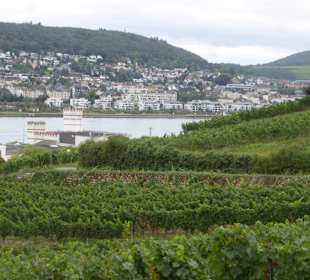 Rüdesheimer Berg