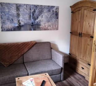 Zimmer mit Couch und Schrank