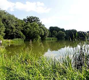 Impressionen vom Kiessee