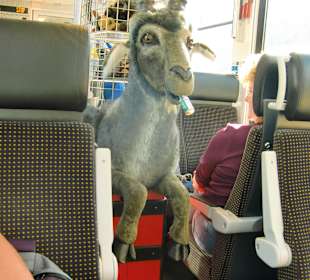 Bernina Express 