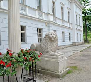 Pałac Jedlinka. Lew przy wejściu.