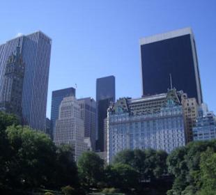 Central Park