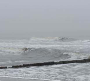 Meer