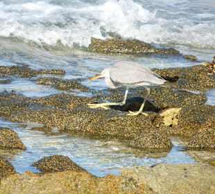 Coraya Bay im Winter