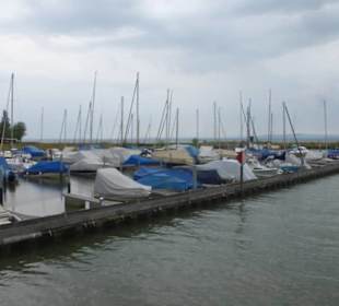 Mündungsgebiet vom Alten Rhein in den Bodensee