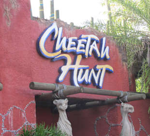 Achterbahn Cheetah Hunt
