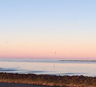 Im Winter an der Elbe