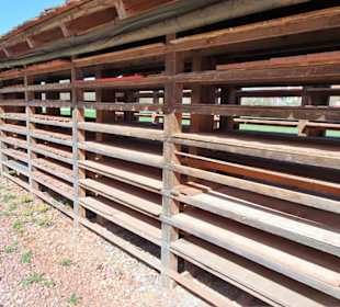 In der Ziegelproduktion des Museums