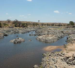 Ruaha Nationalpark