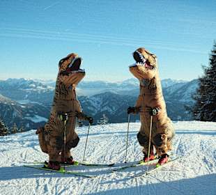 Wandern Berg im Drautal