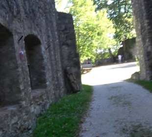 Ruine Hornstein