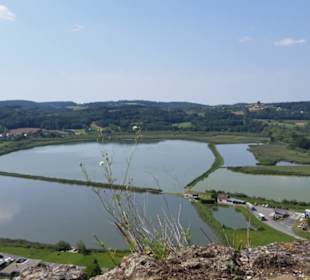 Güssinger Fischteiche