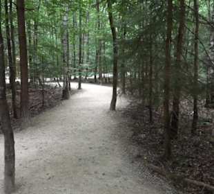 Dinosaurier Museum Altmühltal